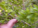 P1240726