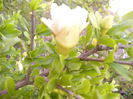 P1240729