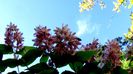 DSC04635