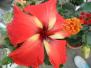 SAM_5789