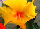 SAM_5806