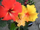 SAM_5807