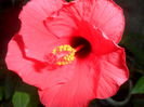SAM_5827