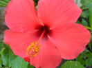 SAM_5830
