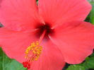 SAM_5831