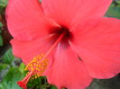 SAM_5832