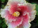 SAM_5834