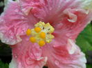SAM_5837