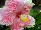 SAM_5838