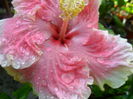 SAM_5842
