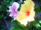 SAM_5850