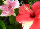 SAM_5851