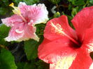 SAM_5852