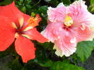 SAM_5854
