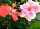 SAM_5855