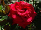 DSC01414
