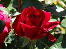 DSC01460
