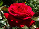 DSC01461