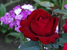DSC01493