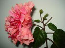 DSC01641