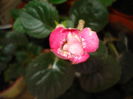 DSC01678