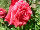 SAM_5876