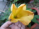SAM_5883