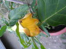 SAM_5887