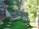 DSC00435
