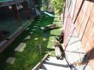 DSC00604