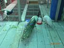 DSC01185