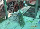 DSC01197