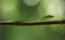 BestHDWallpapersPack1207_88