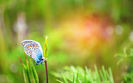 BestHDWallpapersPack1207_96