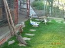 DSC00273