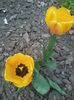 2015-04-23 12.18.59