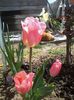 2015-04-23 12.39.37