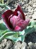 2015-04-23 12.41.22