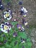 2015-05-07 09.57.10