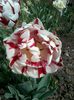 2015-05-03 09.54.57