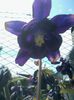 2015-05-04 13.34.57