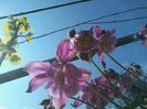 2015-05-04 13.35.39