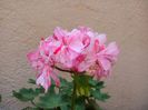 IMG_20150609_182120
