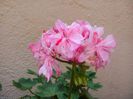 IMG_20150609_182118