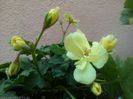 IMG_20150609_182140