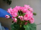 IMG_20150609_183251