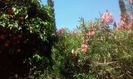 lloret de mar 2015  =2 1577