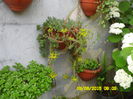 SAM_0144