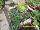 SAM_0148