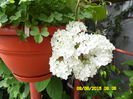 SAM_0152